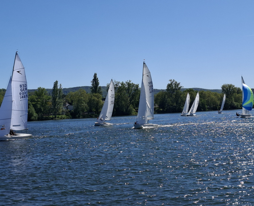 Schlaengelragatta__2026_06