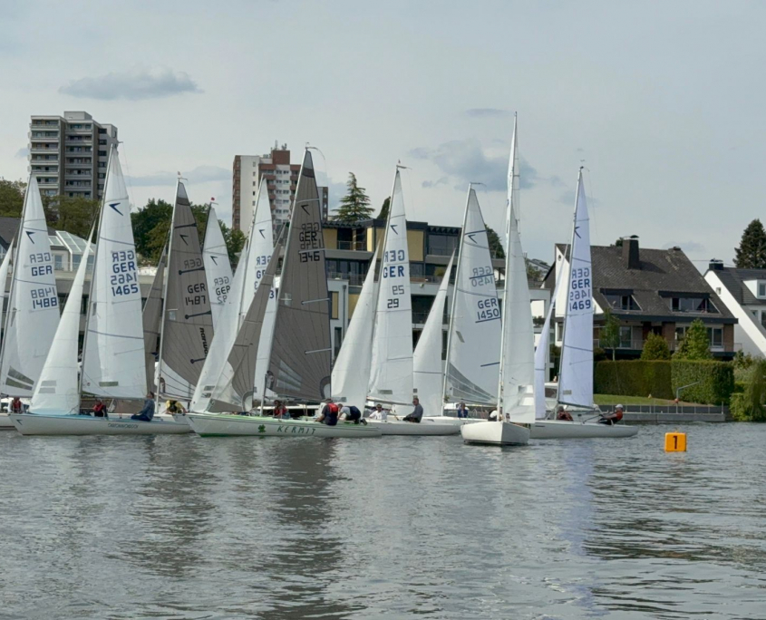 Schlaengelragatta__2026_07